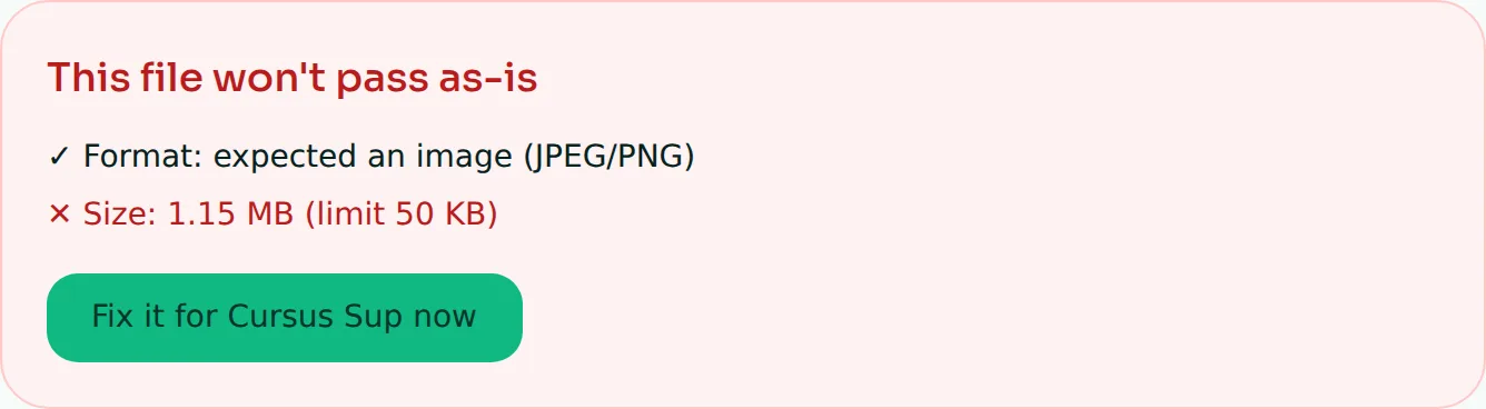 FileNorm's file checker flagging a 1.15 MB photo as failing a 50 KB portal limit, with a direct fix link